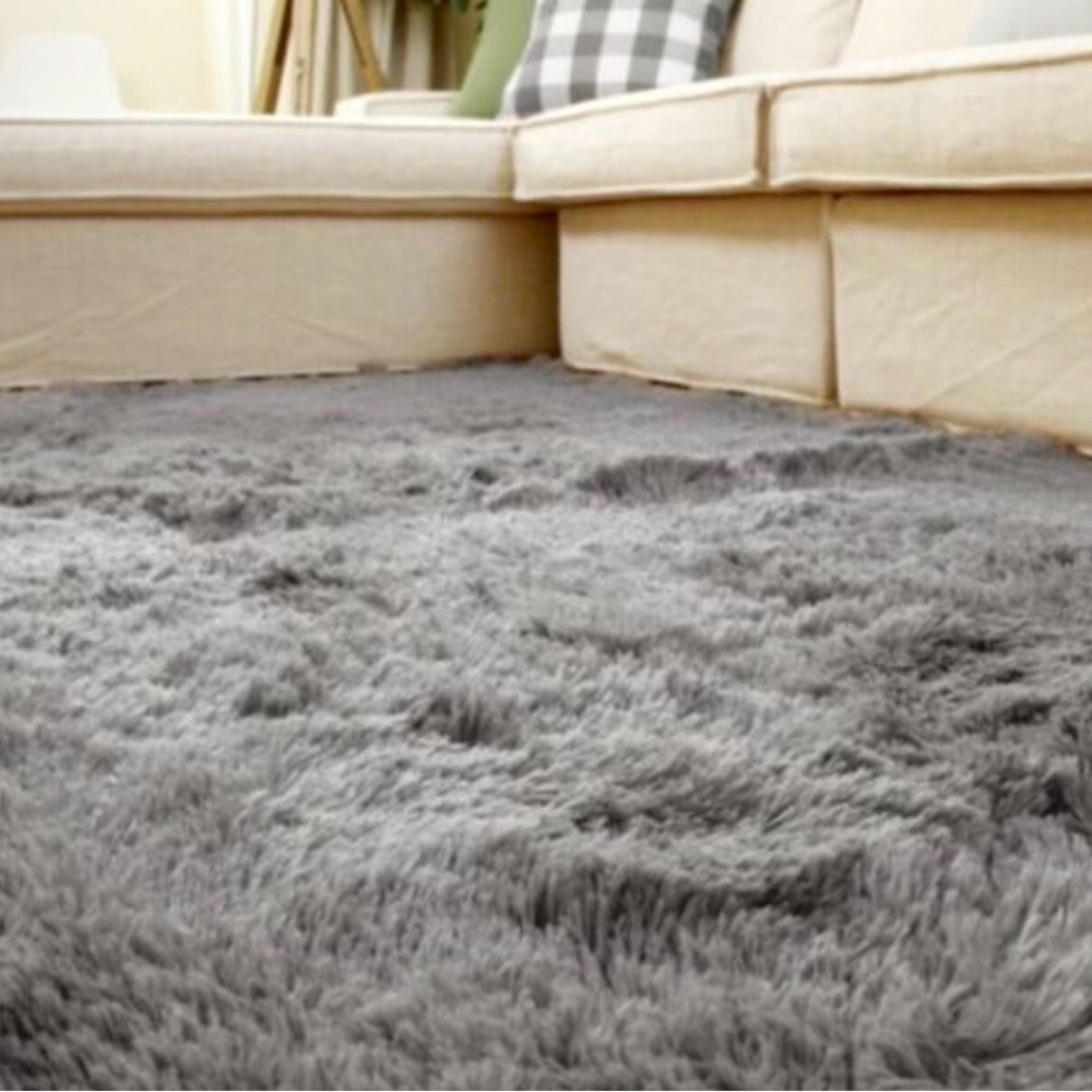 Rug - Gray Accent Area Carpet - Size 4x6 - Picture 2 of 10